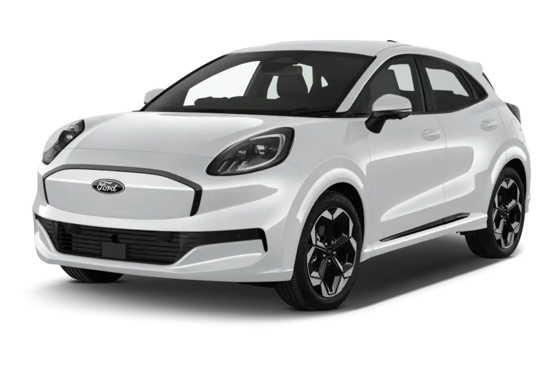Electric Leasing